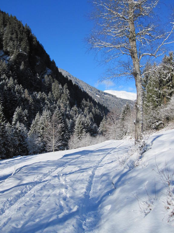 Haus Walch Lägenhet Jerzens Exteriör bild